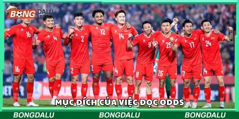 Mục đích của việc đọc odds