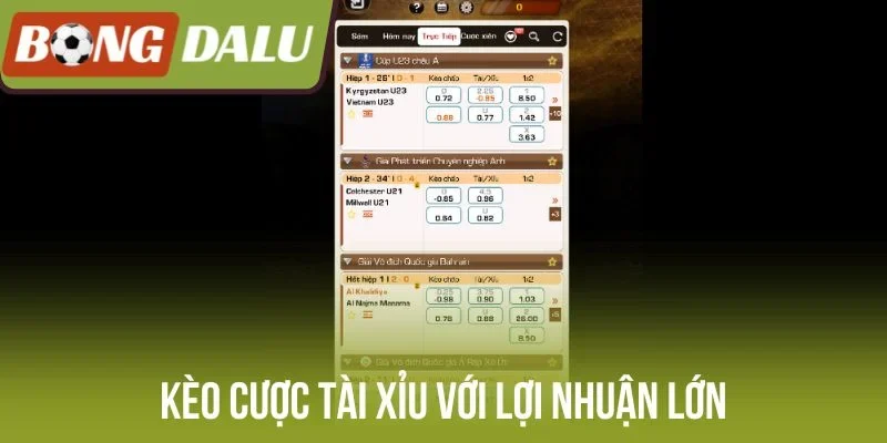 Kèo cược tài xỉu với lợi nhuận lớn