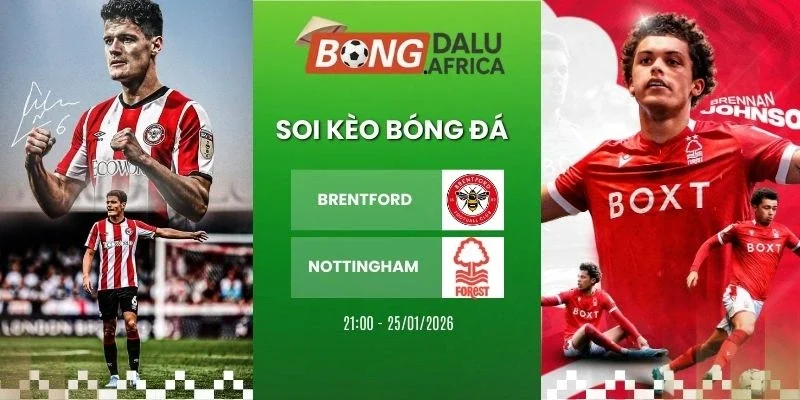 Soi tỷ lệ kèo nhà cái Brentford vs Nottingham