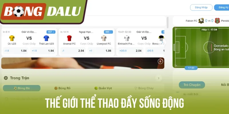 Thế giới thể thao đầy sống động