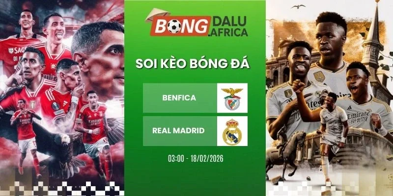 Soi tỷ lệ kèo nhà cái Benfica vs Real Madrid - Cup C1, 18/02/2026