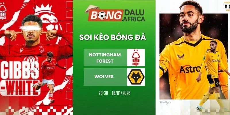 Soi kèo bóng đá Nottingham Forest vs Wolves - NHA, 12/02/2026