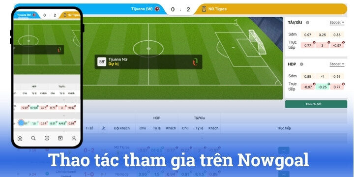 Thao tác giải trí tại Nowgoal chuẩn xác cho tân binh